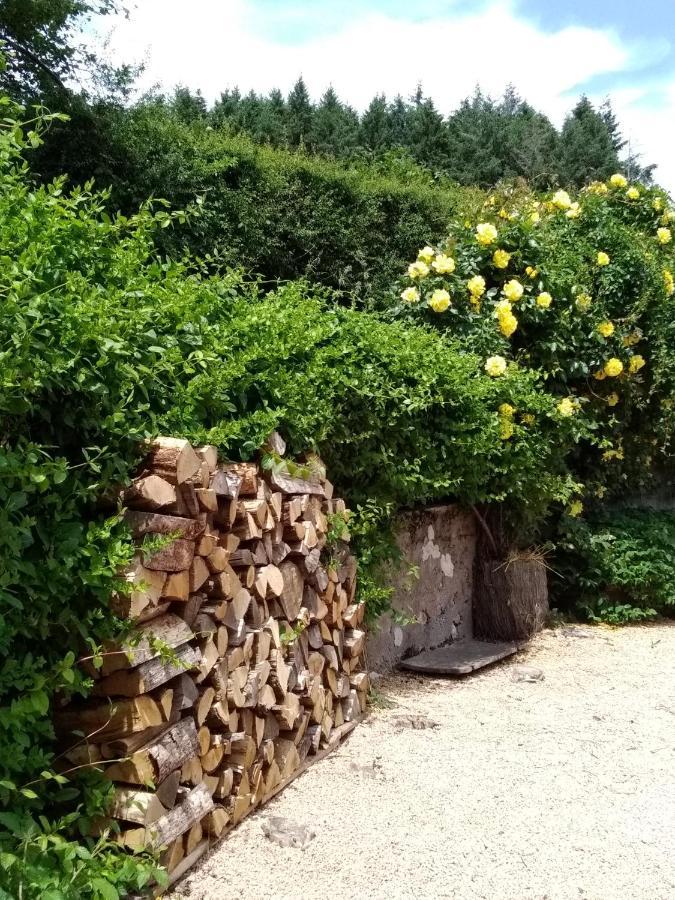 La Maison Du Potager Saint-Racho Luaran gambar