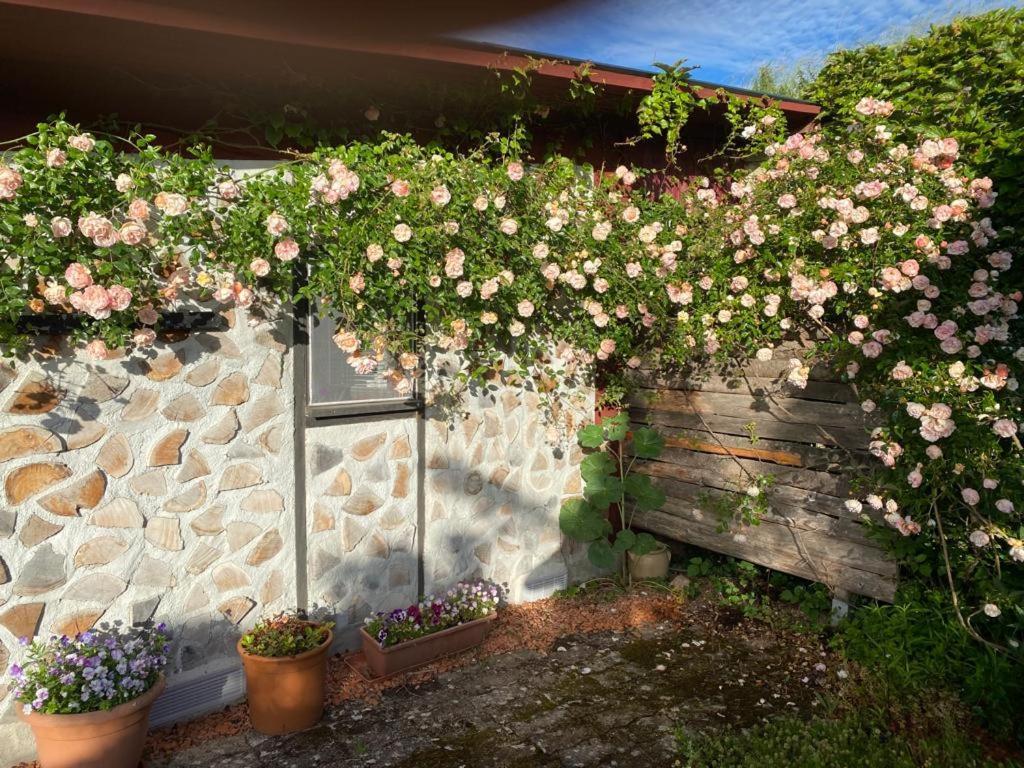 La Maison Du Potager Saint-Racho Luaran gambar